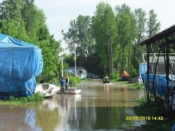 SDC11545.JPG