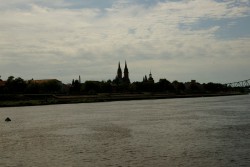 2009-07-22_00076 słodkowodnie.jpg