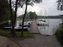 CAM00263.jpg