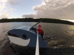 carawhale2.jpg