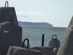 P1010442.JPG
