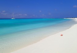 P3020137-001.JPG