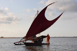 DSC_0510.JPG