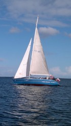 dar01.jpg