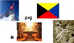 reb3.JPG