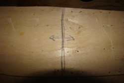 DSC01445.JPG