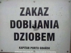 zakaz.jpg