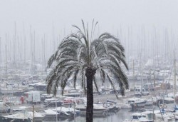 palma.jpg