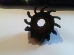 CAM01915.jpg