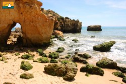 Algarve.jpg