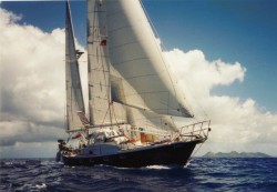 187917_4.jpg