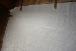 DSC01713.JPG