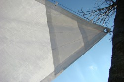 DSC01740.JPG