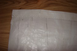 DSC01746.JPG