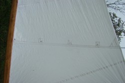 DSC01822.JPG