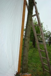 DSC01825.JPG