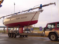 Transport Kocura.JPG
