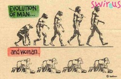 t_ewolucja_179.jpg