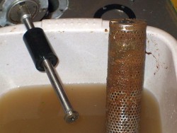 DSCF2325.jpg