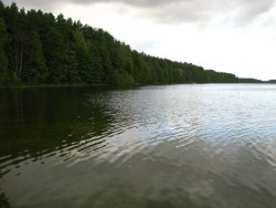 IMG_0736.JPG