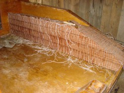 DSC02009.JPG