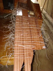 DSC02010.JPG