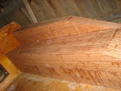 DSC02024.JPG