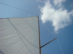 DSC02504.JPG