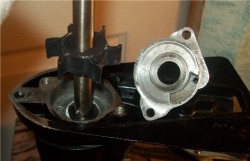 9122d7e11062.jpg