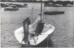 pip-550 rufa.jpg