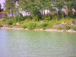 PIC_0343.JPG