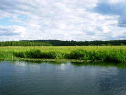 Wielka Pętla Wielkopolska 2014r 071.jpg