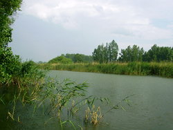 Wielka Pętla Wielkopolska 2014r 150.jpg