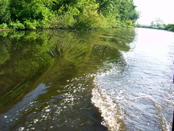 Wielka Pętla Wielkopolska 2014r 153.jpg