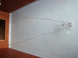 DSC02541.JPG
