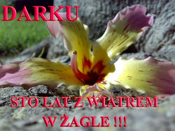 Darek.jpg