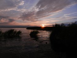 DSCN1937.JPG