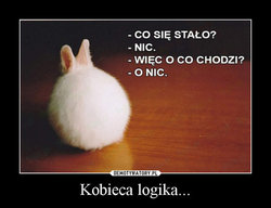 KROLIK.jpg