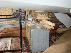 DSC03519.JPG