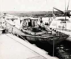 Dar Opola.jpg