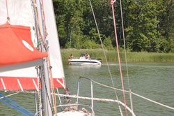 DSC_2116a.jpg