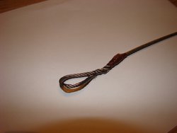 DSC03550.JPG