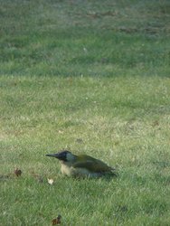 DSC03542.JPG
