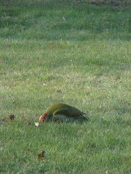 DSC03540.JPG