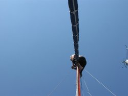 IMG_2415.JPG