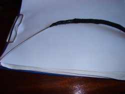 DSC03600.JPG