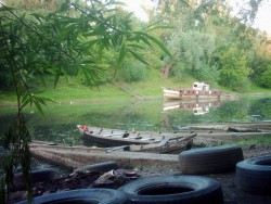 DSCI0004m.jpg