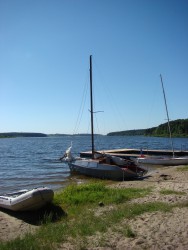 DSC03703.JPG