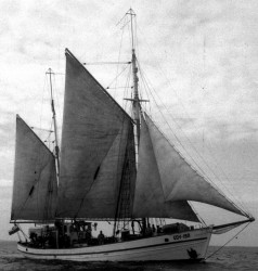 f34009-Henryk_Rutkowski.jpg
