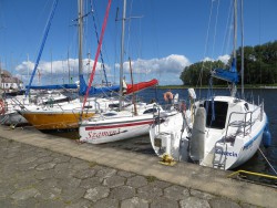 IMG_3723a.jpg